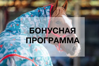 Положение о Бонусной программе лояльности